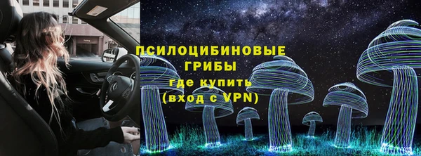 твердый Иннополис