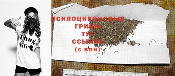 твердый Иннополис
