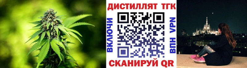 Купить где  Чадан  ТГК концентрат 