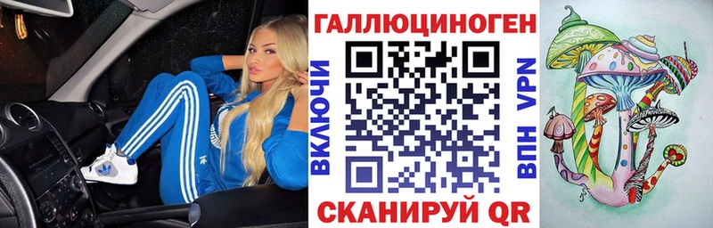 Галлюциногенные грибы мицелий  Купить где  Чадан 
